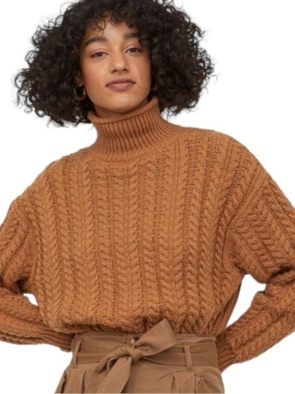 H&M Cable Knit Turtleneck Sweater in Rust Brown